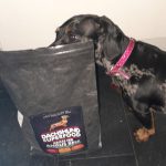 Dachshund Superfood Angus Beef Kibble - All Life Stages
