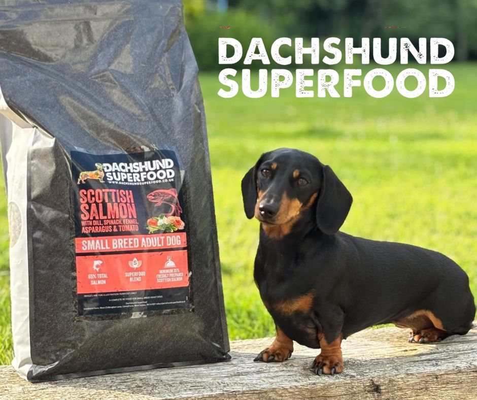 Dachshund Superfood Scottish Salmon Kibble - Adult - Image 3