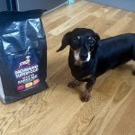 Dachshund Superfood Angus Beef Kibble - All Life Stages