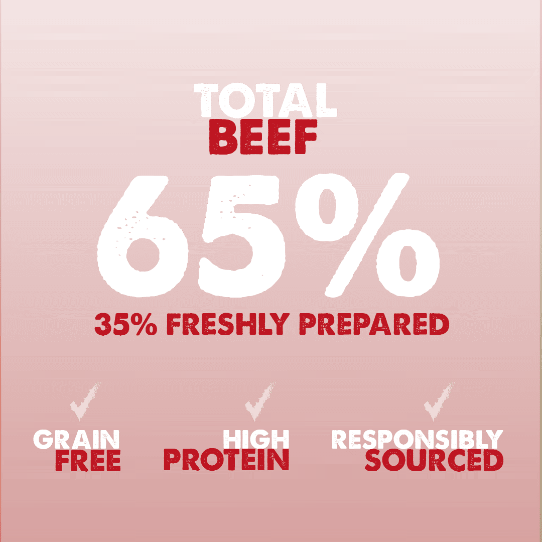 Dachshund Superfood Angus Beef Kibble - All Life Stages - Image 5