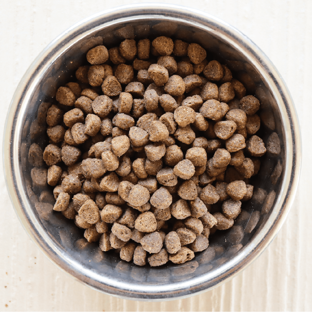 Dachshund Superfood Angus Beef Kibble - All Life Stages - Image 4
