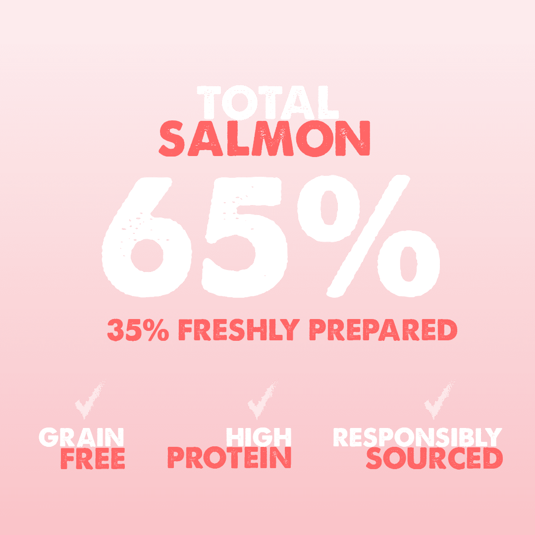 Dachshund Superfood Scottish Salmon Kibble - Puppy - Image 6