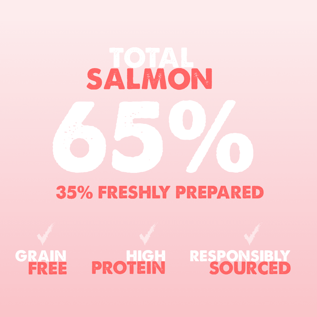 Dachshund Superfood Scottish Salmon Kibble - Adult - Image 5