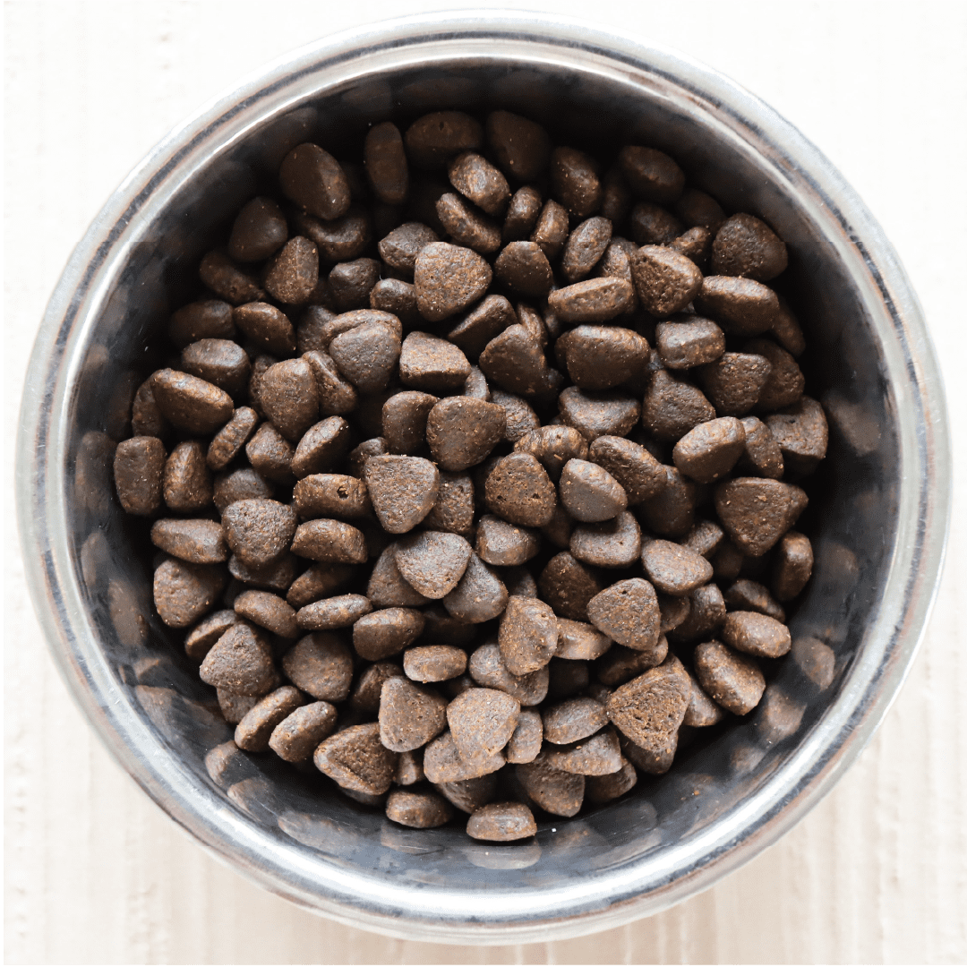 Dachshund Superfood Scottish Salmon Kibble - Adult - Image 4