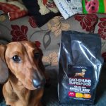 Dachshund Superfood Angus Beef Kibble - All Life Stages