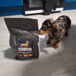 Dachshund Superfood Scottish Salmon Kibble - Puppy