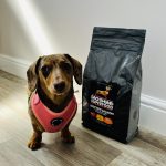 Dachshund Superfood Scottish Salmon Kibble - Puppy