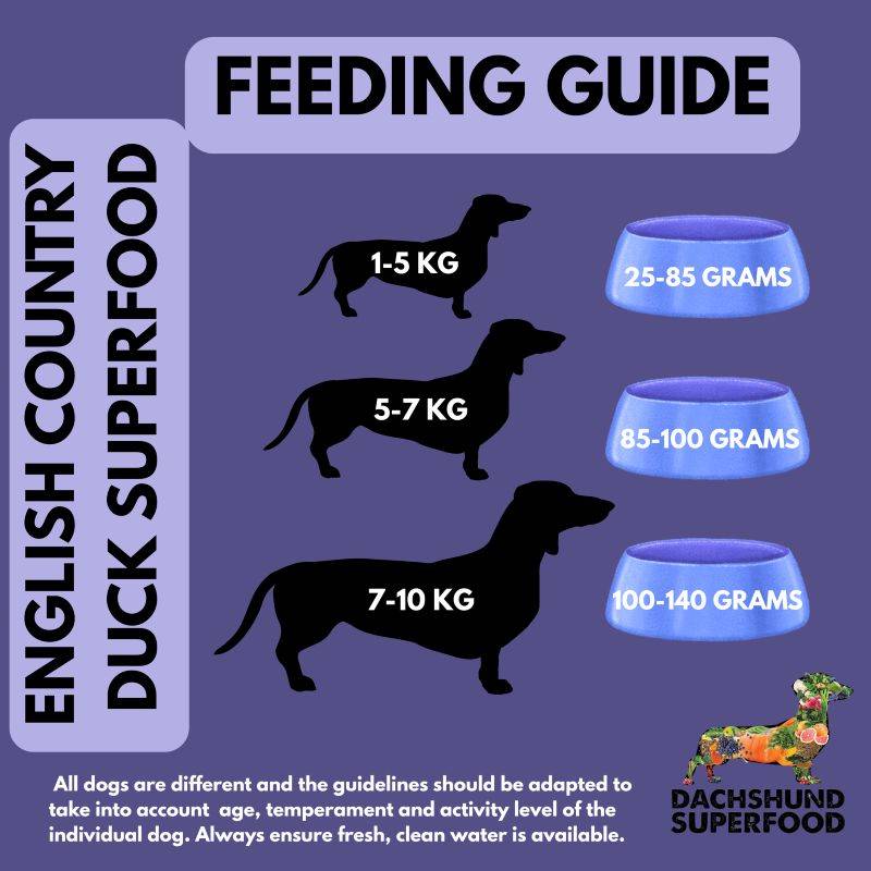 Dachshund Superfood English Country Duck Kibble - Adult - Allergy Rescue Recipe - Image 8