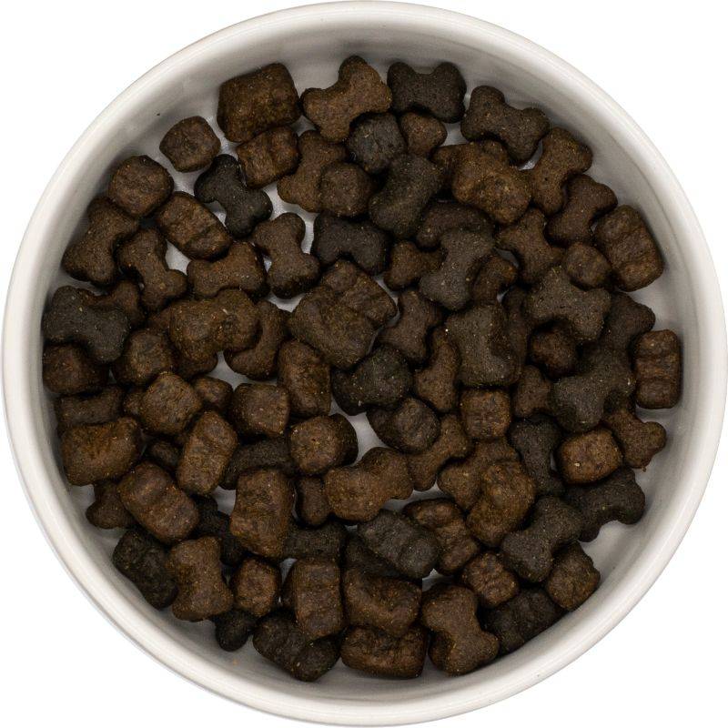 Dachshund Superfood Dental Dog Treats - Image 7