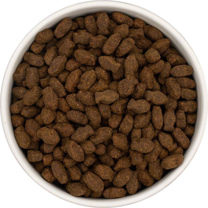 Dachshund Superfood Fish Dog Treats - Image 6