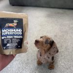 Dachshund Superfood Fish Dog Treats