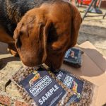 Dachshund Superfood Selection - Adult Sample Box (600g)