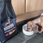 Dachshund Superfood Scottish Salmon Kibble - Puppy