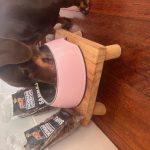 Dachshund Superfood Selection - Adult Sample Box (600g)