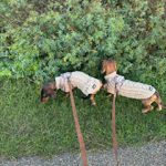 Dachshund Superfood Fish Dog Treats