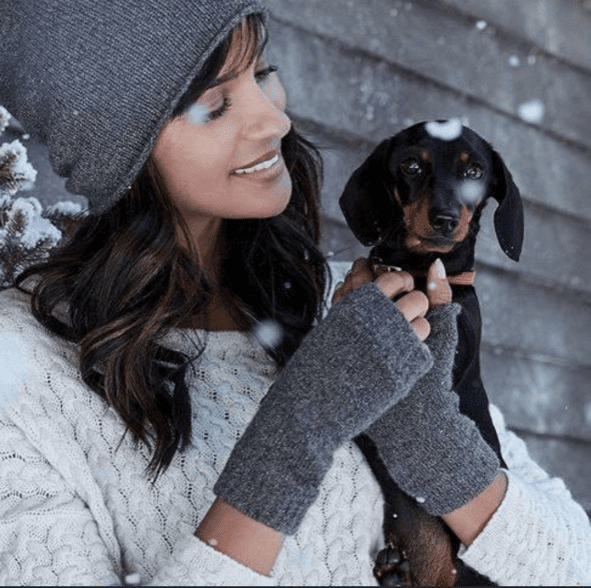 dog winter dachshund sausage dog