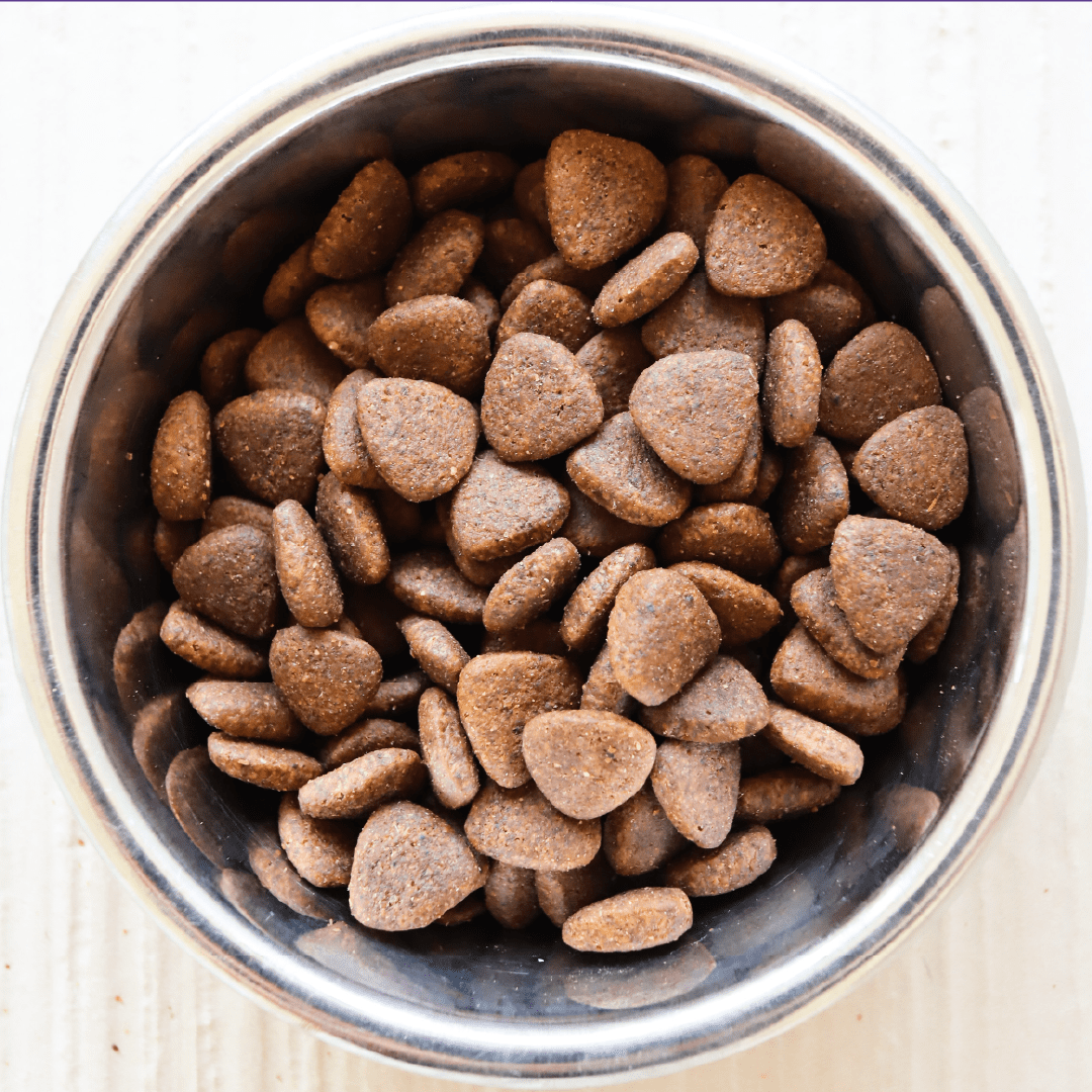 Dachshund Superfood English Country Duck Kibble - Adult - Allergy Rescue Recipe - Image 3