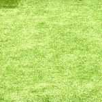 Dachshund Superfood Yak Snack Dog Chews