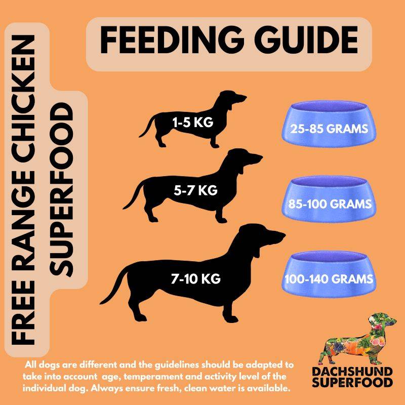 Dachshund Superfood British Free Range Chicken Kibble - Adult - Image 9