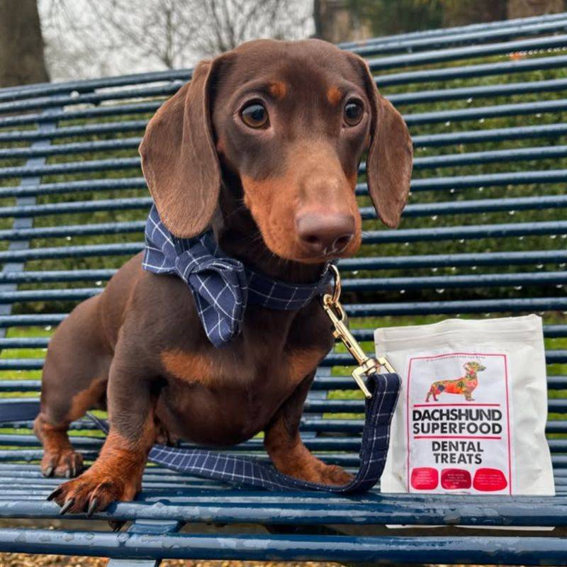 Dachshund Superfood Dental Dog Treats - Image 3
