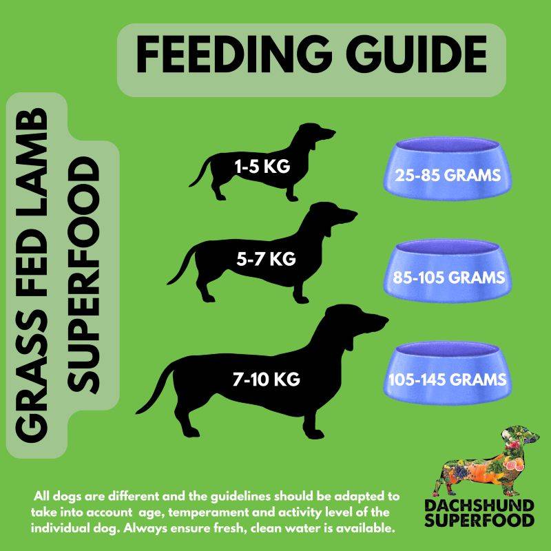 Dachshund Superfood British Grass Fed Lamb Kibble - Adult - Image 8