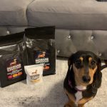 Dachshund Superfood British Free Range Chicken Kibble - Adult