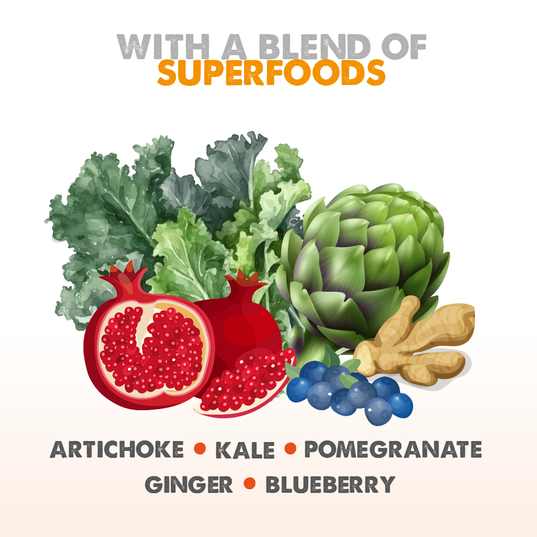 Dachshund Superfood British Free Range Chicken Kibble - Adult - Image 6