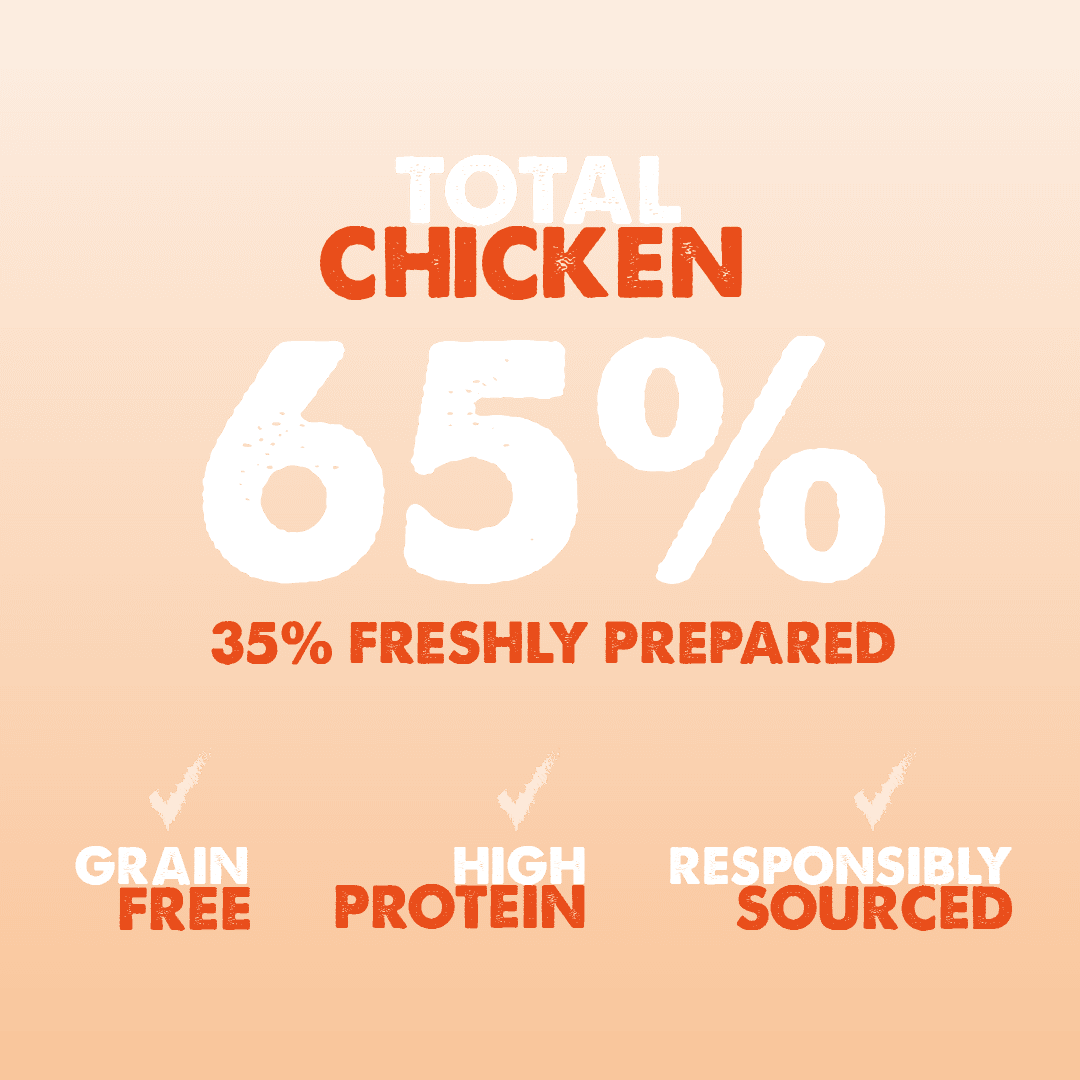 Dachshund Superfood British Free Range Chicken Kibble - Adult - Image 5