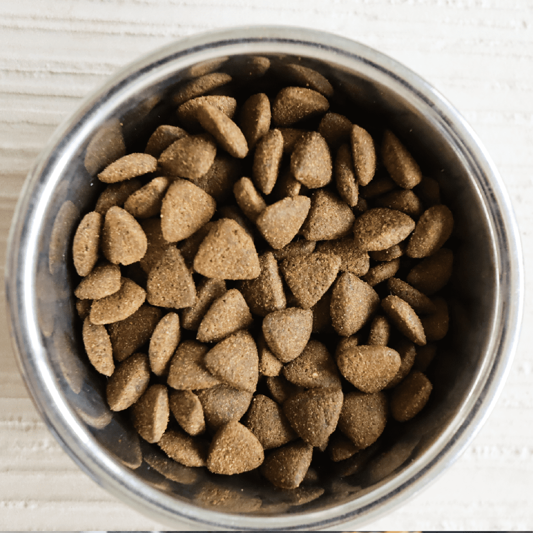 Dachshund Superfood British Free Range Chicken Kibble - Adult - Image 4