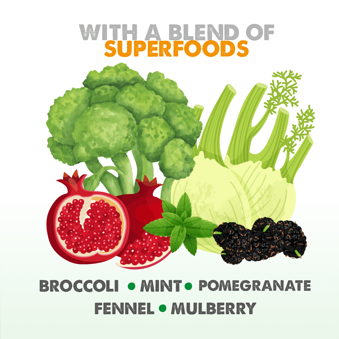 Dachshund Superfood British Grass Fed Lamb Kibble - Adult - Image 5