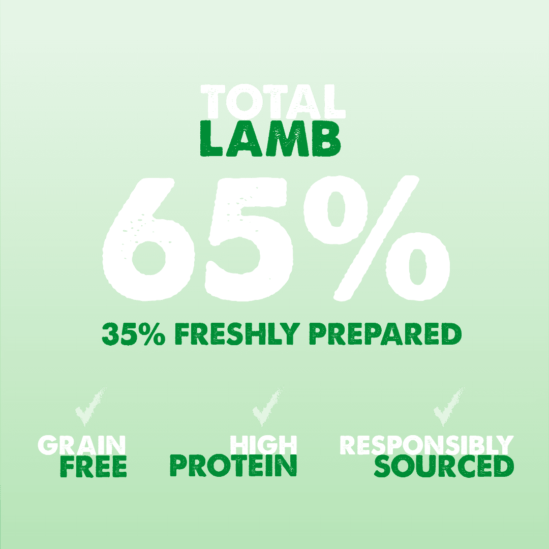 Dachshund Superfood British Grass Fed Lamb Kibble - Adult - Image 4