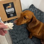 Furry Rabbit Ears - Dachshund Chews