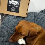 Furry Rabbit Ears - Dachshund Chews