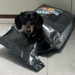 Dachshund Superfood Turkey Kibble - Light Recipe - Adult/Senior