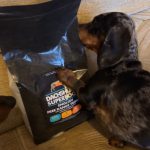 Dachshund Superfood Turkey Kibble - Light Recipe - Adult/Senior
