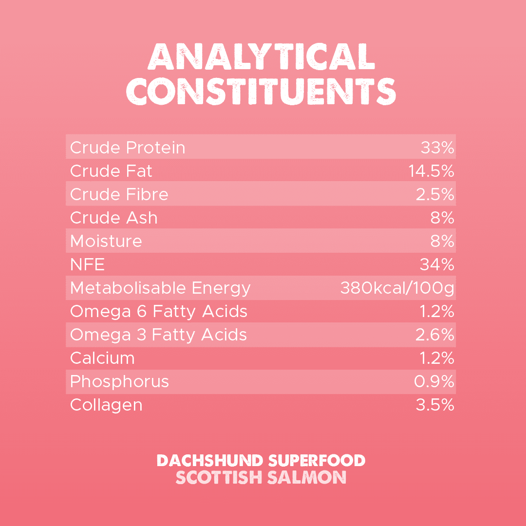 Dachshund Superfood Scottish Salmon Kibble - Adult - Image 8