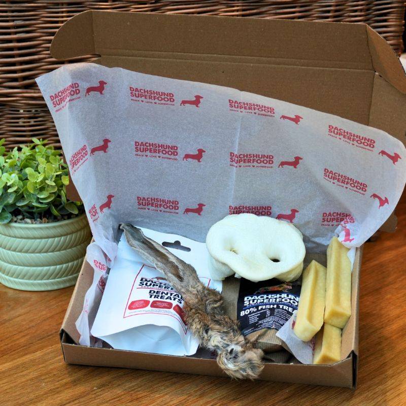 Dachshund Delight Big Treat Box