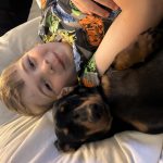 Dachshund Delight Big Treat Box