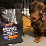 Dachshund Superfood Turkey Kibble - Puppy