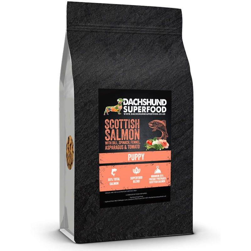 Dachshund Superfood Scottish Salmon Kibble - Puppy - Image 3