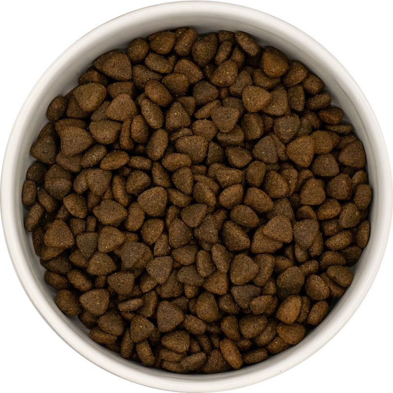 Dachshund Superfood Turkey Kibble - Light Recipe - Adult/Senior - Image 3