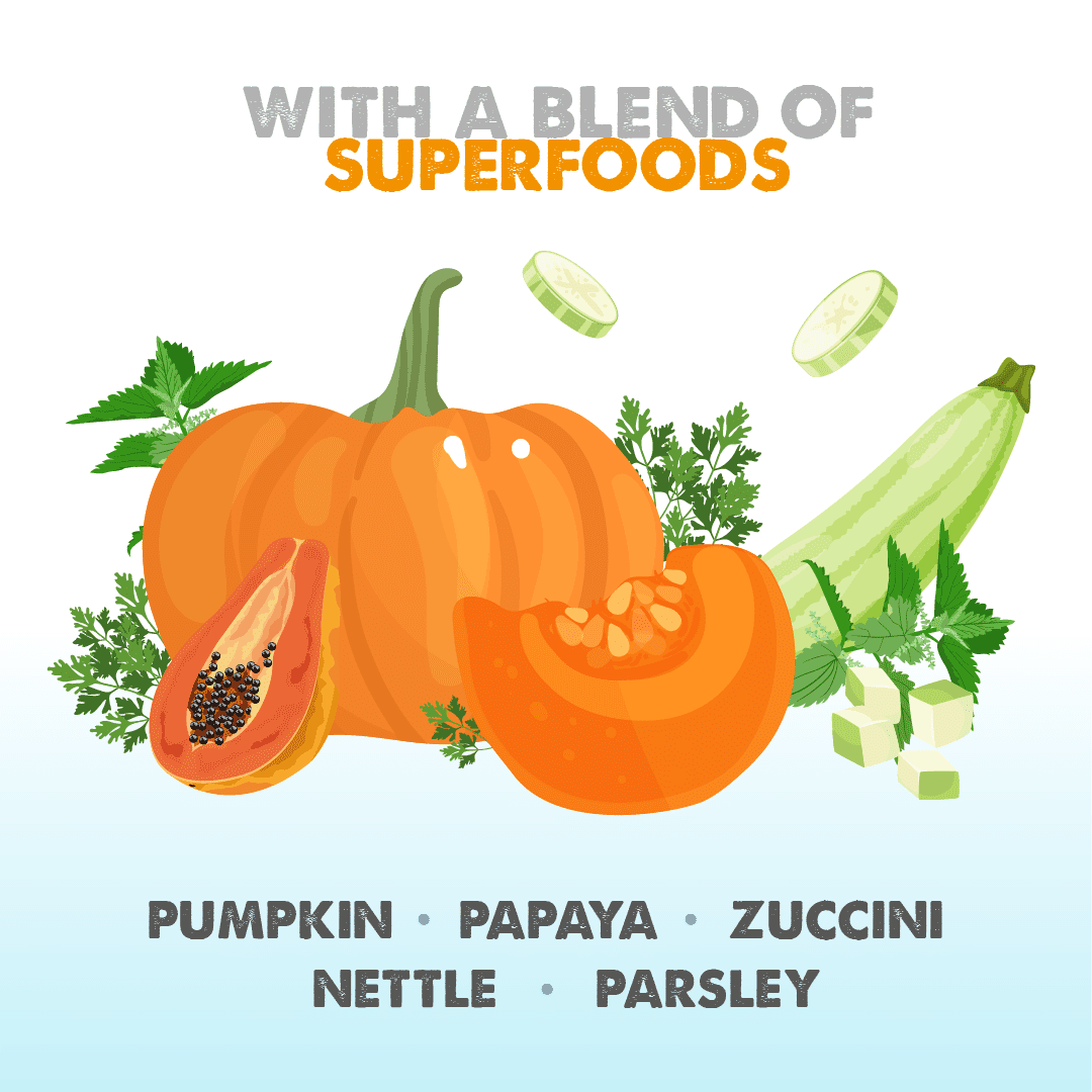 Dachshund Superfood Turkey Kibble - Light Recipe - Adult/Senior - Image 4