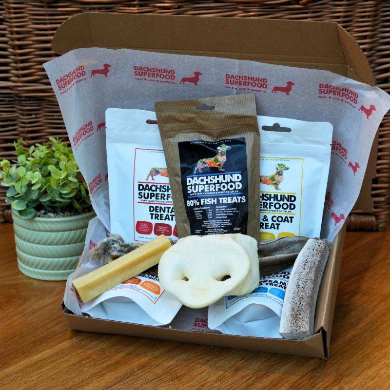 Dachshund Delight Biggest Treat Box