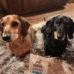 Dachshund Superfood Sweet Dreams Calming Dog Treats