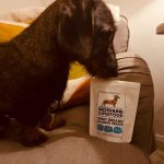 Dachshund Superfood Sweet Dreams Calming Dog Treats