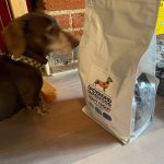 Dachshund Superfood Trout with Salmon Kibble - Light Recipe - Adult