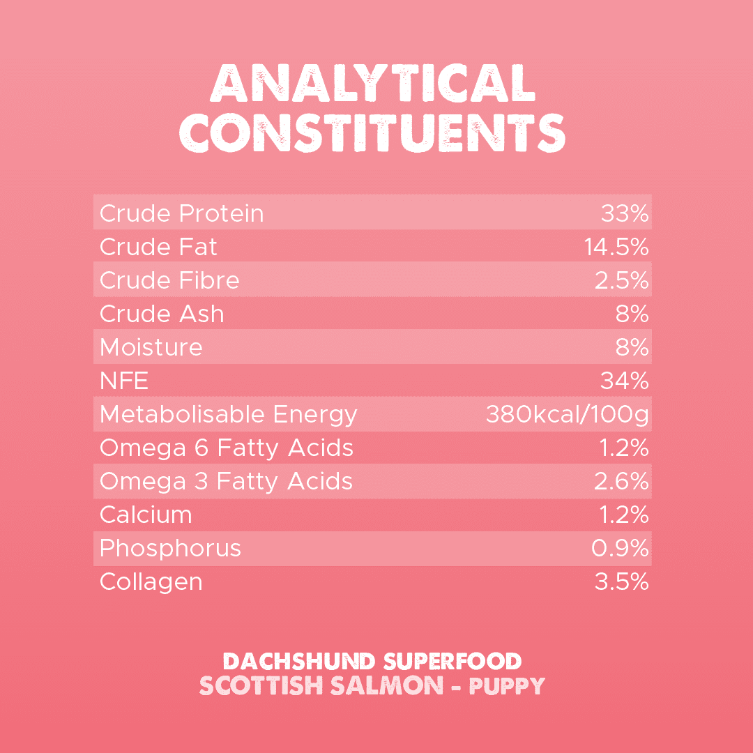 Dachshund Superfood Scottish Salmon Kibble - Puppy - Image 8