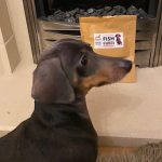 Dachshund Superfood Fish Skin Cubes - Tekel Treats