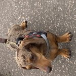 Mealtime Magic - Adult Samples