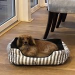 Mealtime Magic - Adult Samples